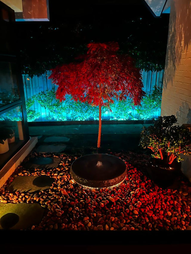 Internal Courtyard Gardens